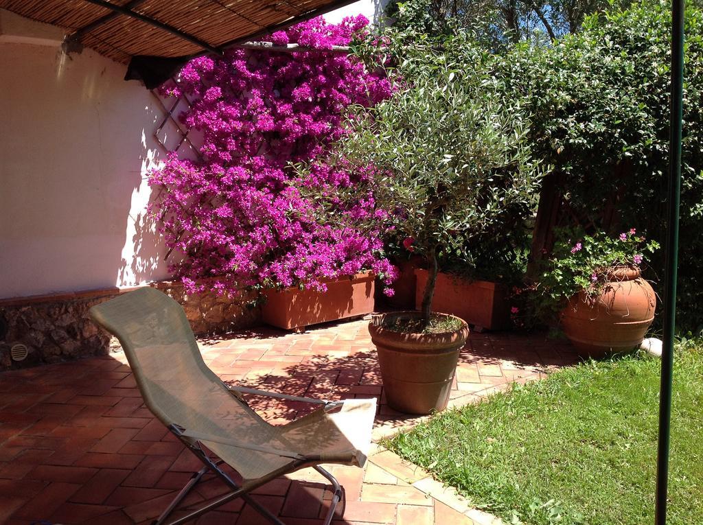 Casale Ai Poggi Guest House Orbetello Ngoại thất bức ảnh